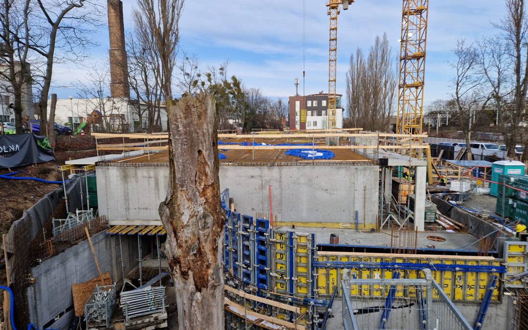 Kolna Sopot – Dziennik budowy I (01.2025)